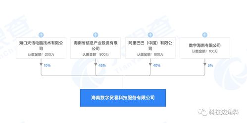 阿里巴巴入局，携手共建海南数字贸易新篇章