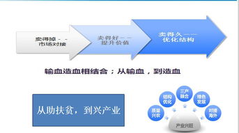 数字乡村与农产品网销 对陇南模式升级的网络技术服务新思考
